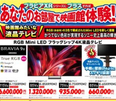 RGB Mini LED  BRAVIA9Ⅱ体験会　