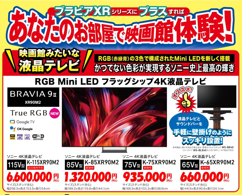 RGB Mini LED  BRAVIA9Ⅱ体験会　